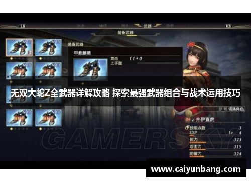 无双大蛇Z全武器详解攻略 探索最强武器组合与战术运用技巧
