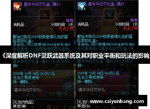 《深度解析DNF灵跃武器系统及其对职业平衡和玩法的影响》