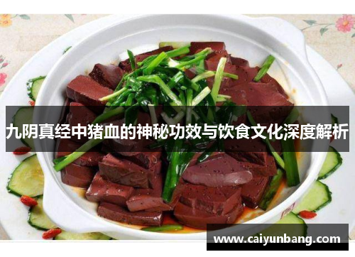 九阴真经中猪血的神秘功效与饮食文化深度解析